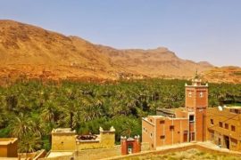 oasis désert marocain