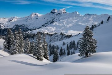 Paysage de montagne en hiver, sapins et sommets enneigés