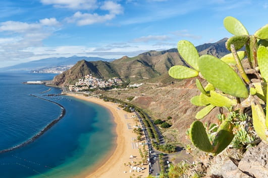 Vue aérienne d'une plage sur l'île de Ténérife